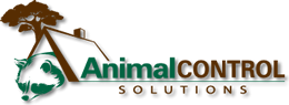 Tucson Animal Removal